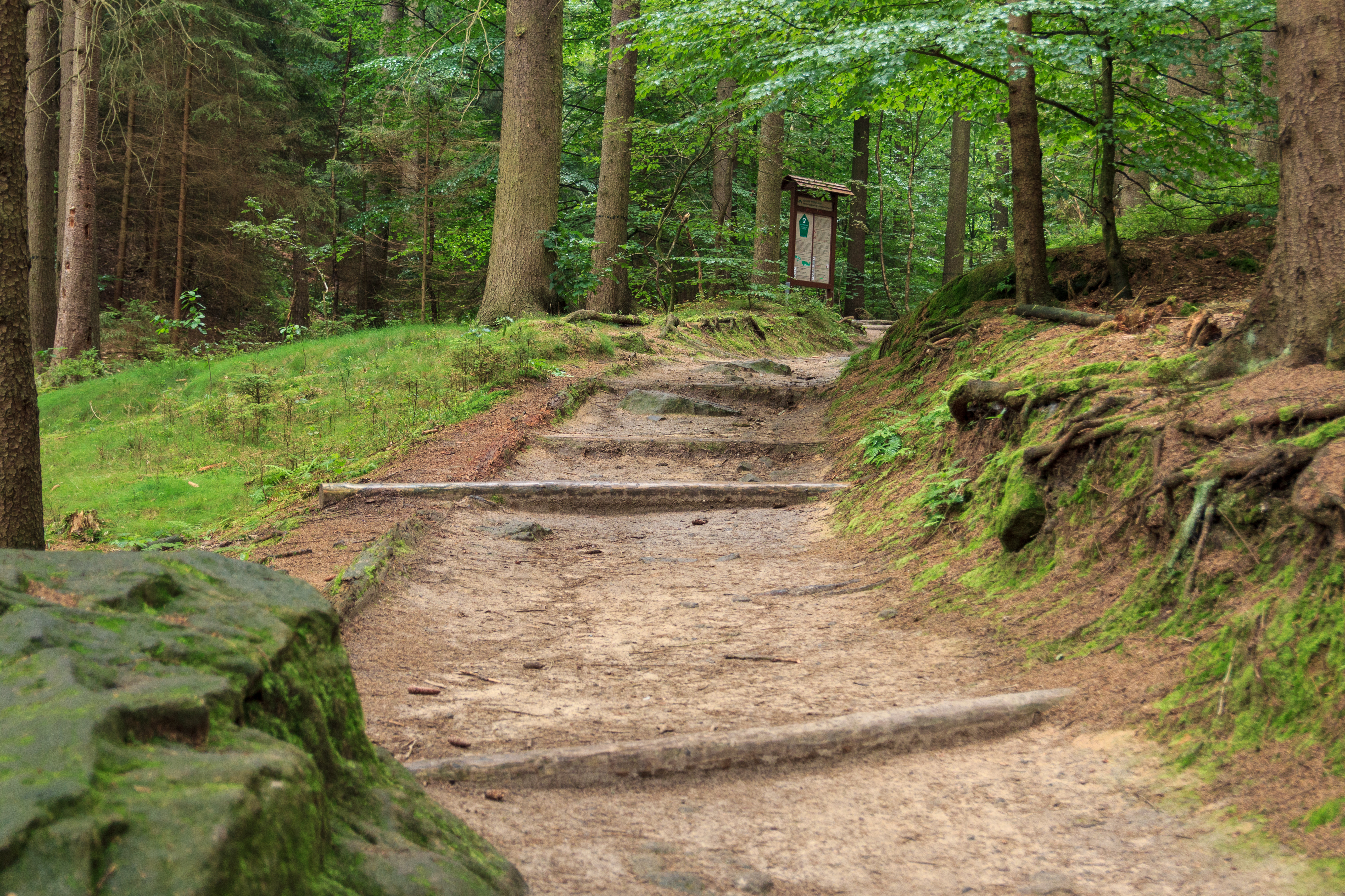 Hinweg zu den Schrammsteinen